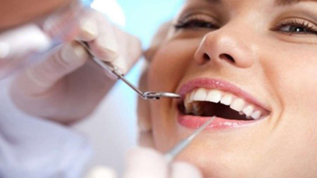 中国 China C B Dental Lab Co. Limited 会社概要
