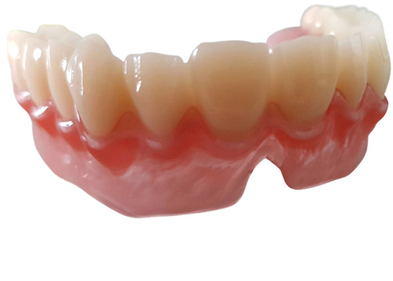 現実的なデジタル データOEM 3Dは歯科医の調査のための歯科モデルを印刷した