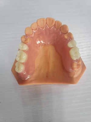3Dはデジタル データに基づいて歯科実験室のための総義歯を印刷した