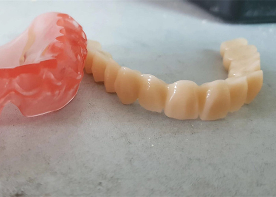 現実的なデジタル データOEM 3Dは歯科医の調査のための歯科モデルを印刷した