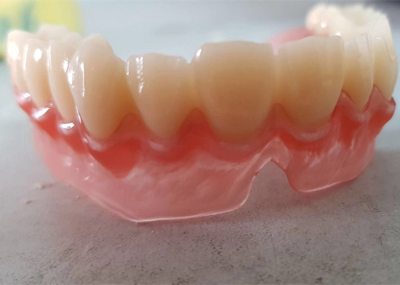 現実的なデジタル データOEM 3Dは歯科医の調査のための歯科モデルを印刷した