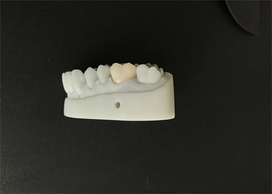 OEM 3Dは総義歯の実験室のための歯科モデルCAD CAM設計を印刷した