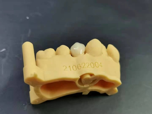 適用範囲が広いアクリルの総義歯の歯科実験室のデジタル設計を印刷しているOEM 3D