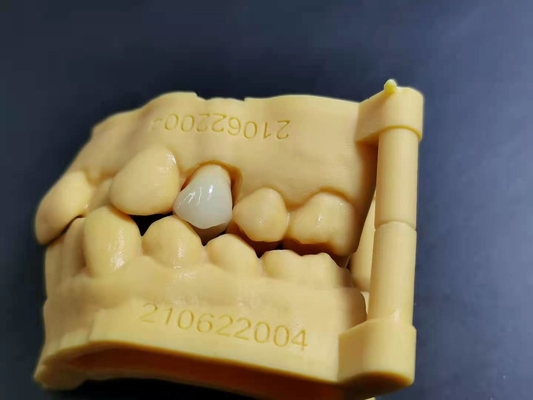 適用範囲が広いアクリルの総義歯の歯科実験室のデジタル設計を印刷しているOEM 3D