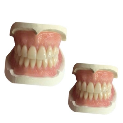 CADの総義歯の歯科実験室CAMゴム製3Dは歯の王冠のNatruralの陰を印刷した