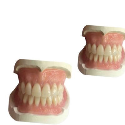 CADの総義歯の歯科実験室CAMゴム製3Dは歯の王冠のNatruralの陰を印刷した